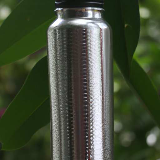 Sustainability of Aluminum Water Bottles