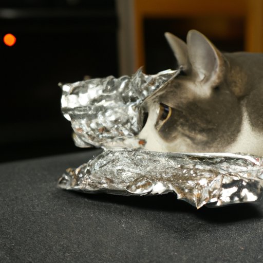 Exploring the Sensory Factors That Deter Cats From Aluminum Foil
